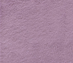 Whispy Elderberry .jpg