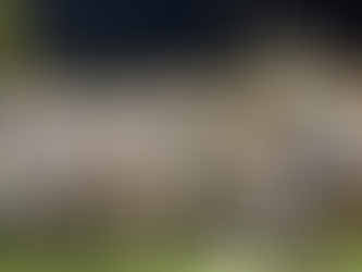 Irish Roar: O’Dea Dominates West Seattle 56-14 