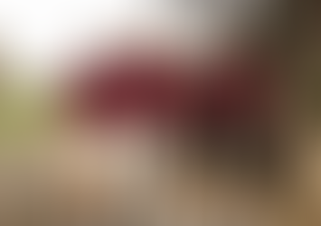 Golf Metro Championships  