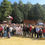 Miniatura: Tour Mariposa Monarca + Valle de Bravo