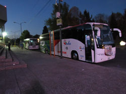 Autobuses