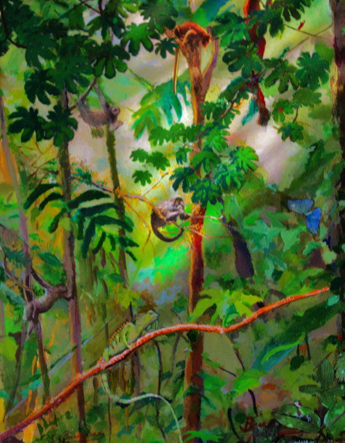 CLOUDFOREST ANIMALS