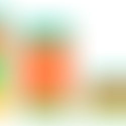 Post-mortem on IMO’s Net Zero Framework discussions: UCL readout