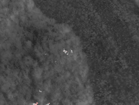 DJI_20260209211159_0001_T.JPG
