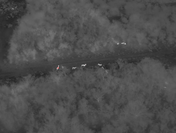 DJI_20260209212443_0004_T.JPG