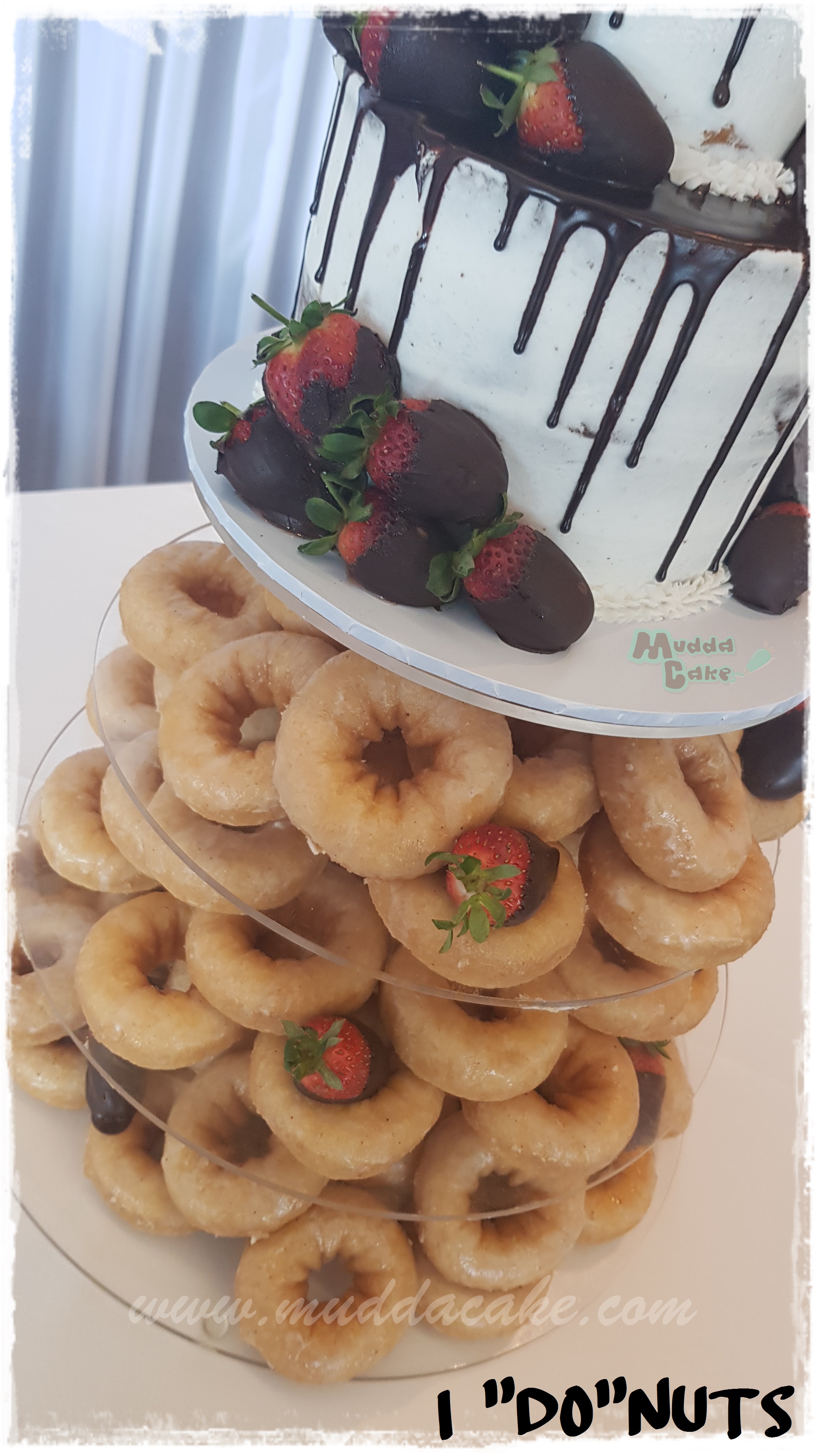 Cupcakes Macarons Buff Point Central Coast Mudda Cake