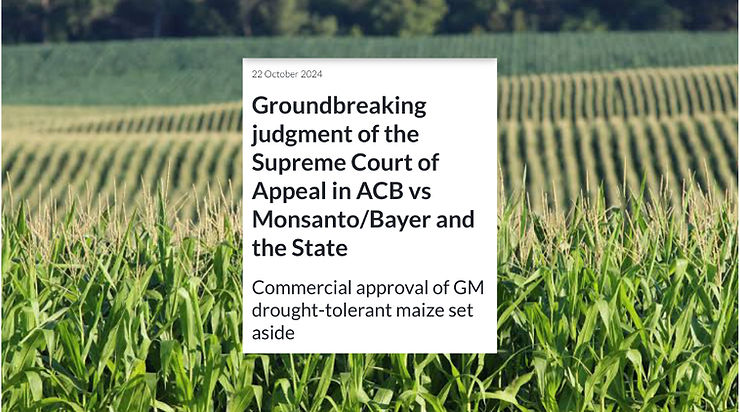 South African Supreme Court makes a ruling to reverse tge commercial approval of Monsanto’s drought tolerant maize crop for safety reasons.