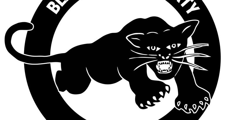 Black Panther The Trojan Horse