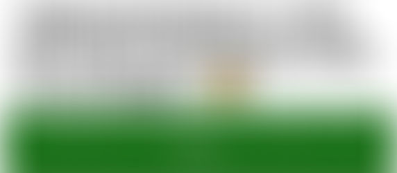 ZIMBABWEANS DON’T PAY TAX BUT THEY EXPECT WORLD CLASS SERVICES.