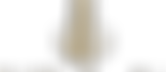 The Reserve Bank Of South Africa