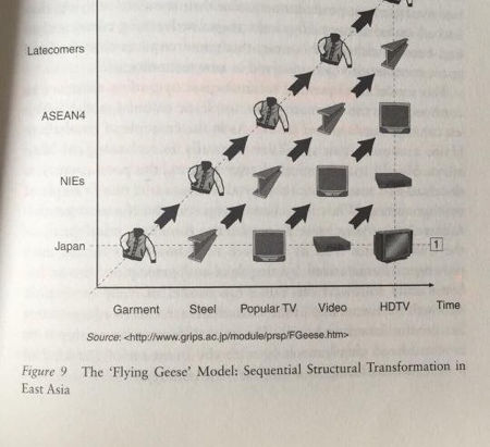 Developing Africa Through The Flying Goose Effect.