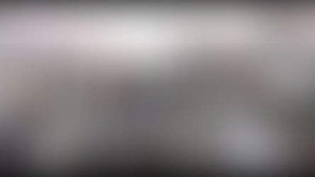 SLAVES FOUGHT FOR THEIR FREEDOM.