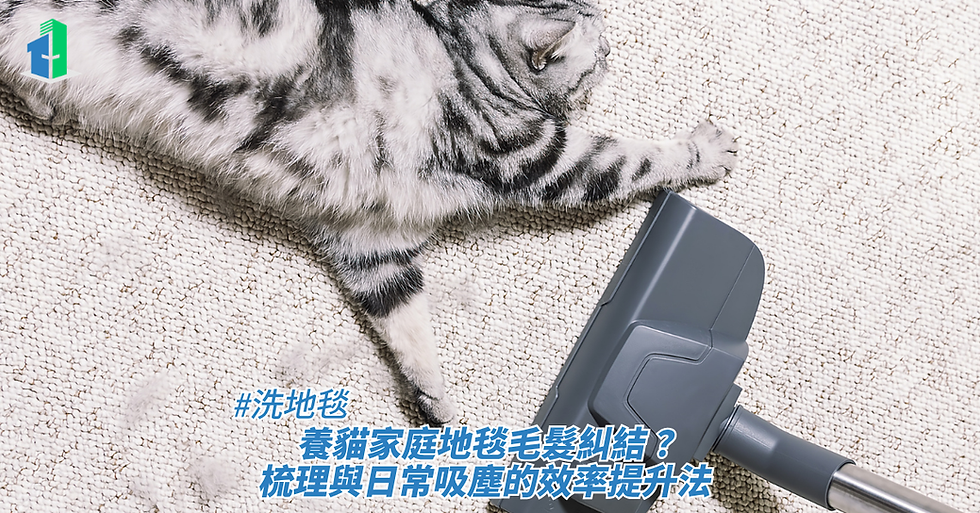 一隻灰色虎斑貓正躺在淺色地毯上,旁邊放着吸塵機吸頭的近距離特寫,畫面下方疊加了標題,藉此探討洗地毯、養貓家庭地毯毛髮糾結?梳理與日常吸塵的效率提升法。