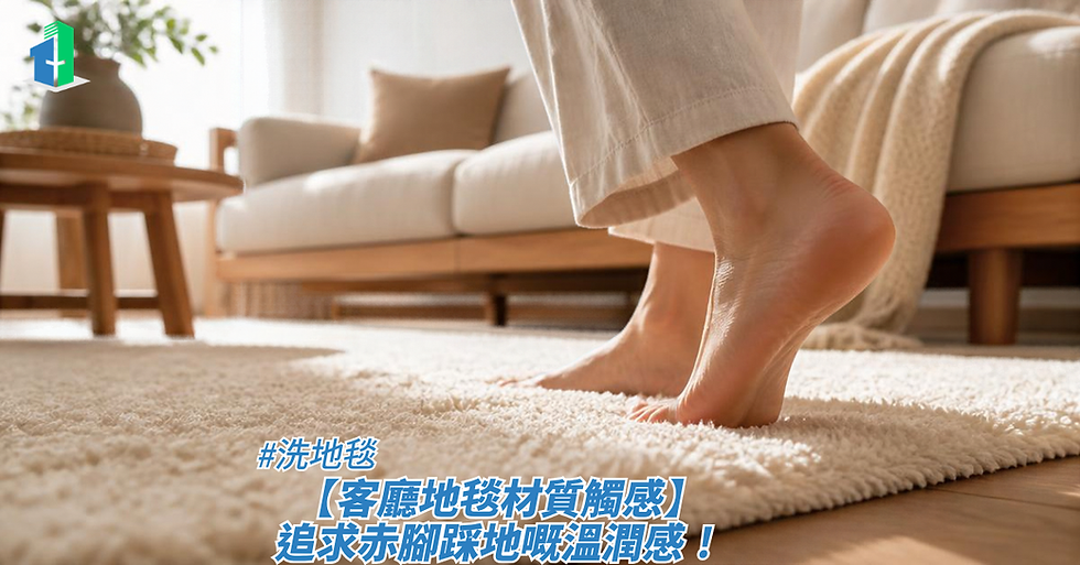 【客廳地毯材質觸感】追求赤腳踩地嘅溫潤感!