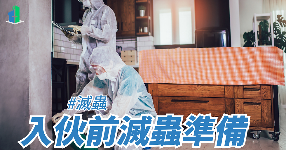 入伙前滅蟲準備