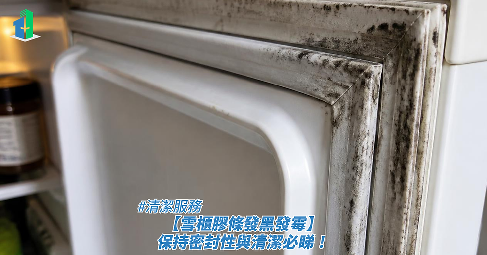 【雪櫃膠條發黑發霉】保持密封性與清潔必睇！
