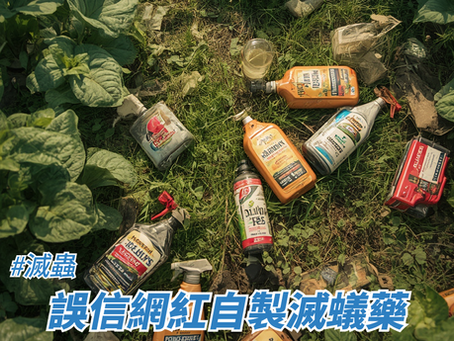 誤信網紅自製滅蟻藥