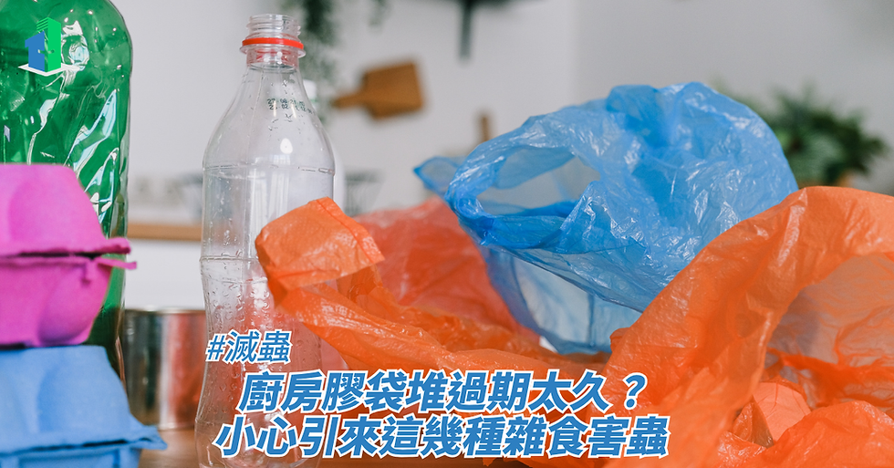 廚房膠袋堆過期太久？小心引來這幾種雜食害蟲 