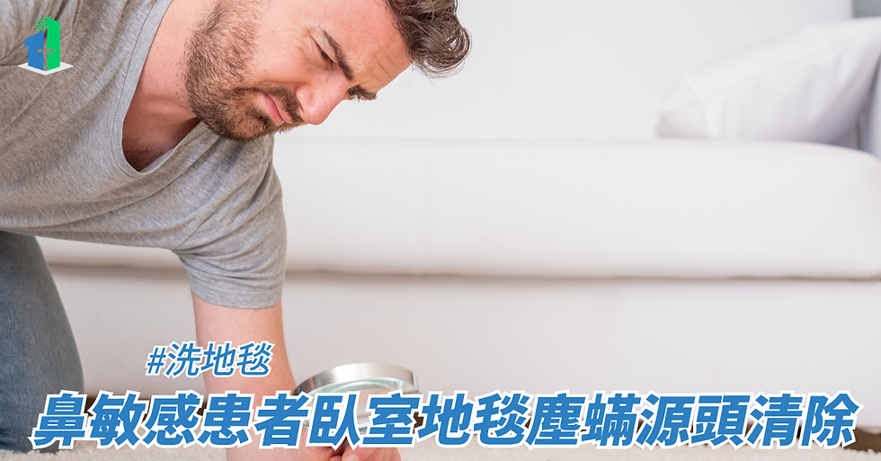 鼻敏感患者臥室地毯塵蟎源頭清除