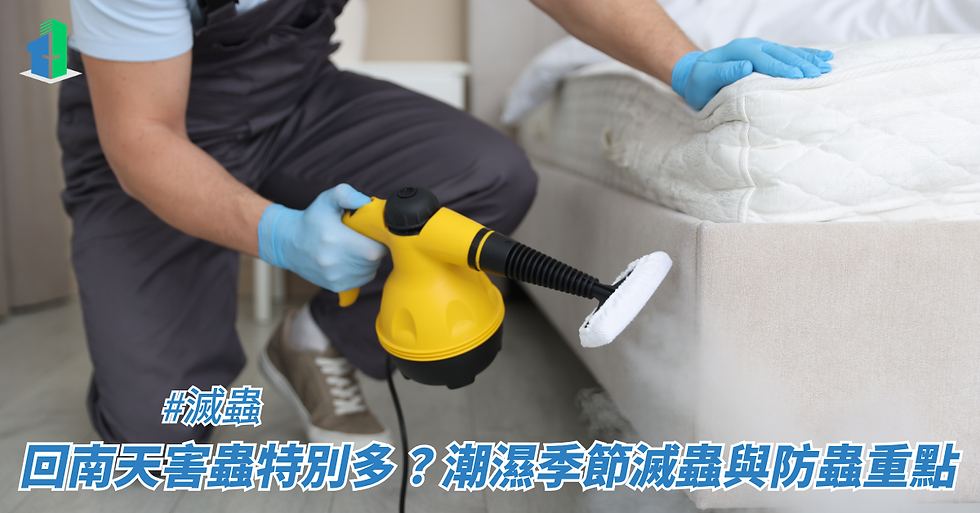 回南天害蟲特別多？潮濕季節滅蟲與防蟲重點