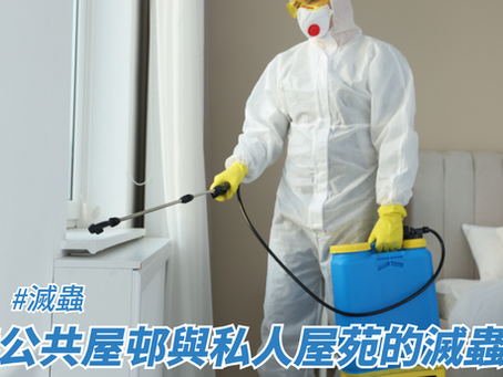 香港公共屋邨與私人屋苑的滅蟲差異