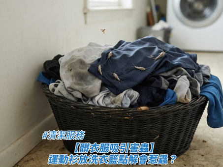 一個黑色藤編洗衣籃入面裝滿咗換下來嘅髒衣服(包括藍色及灰色運動衫),上面仲有幾隻衣魚在爬行的近距離特寫,畫面下方疊加了標題,藉此探討清潔服務、【髒衣服吸引害蟲】運動衫放洗衣籃點解會惹蟲?