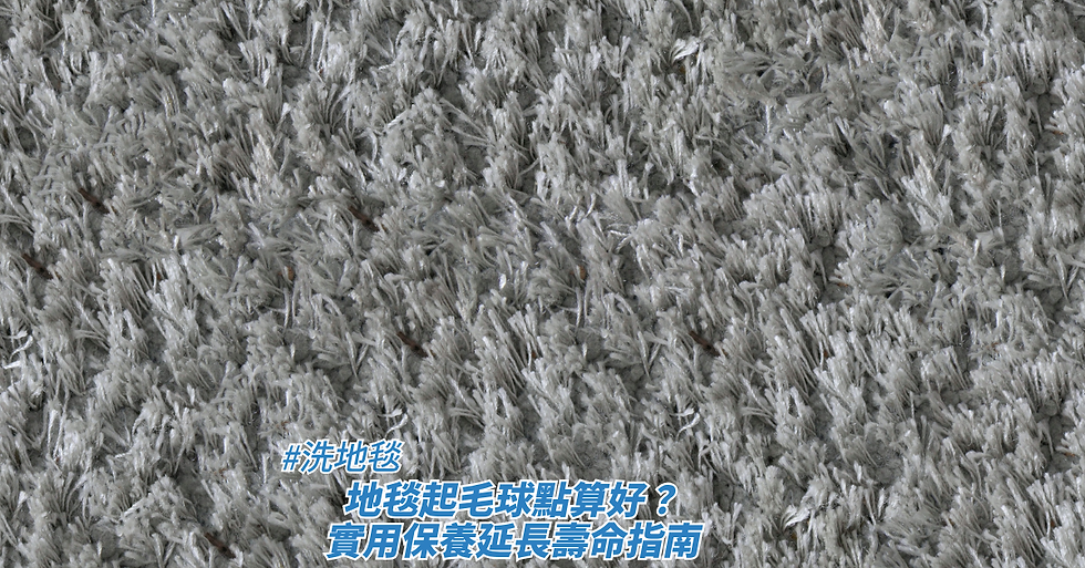 地毯起毛球點算好?實用保養延長壽命指南