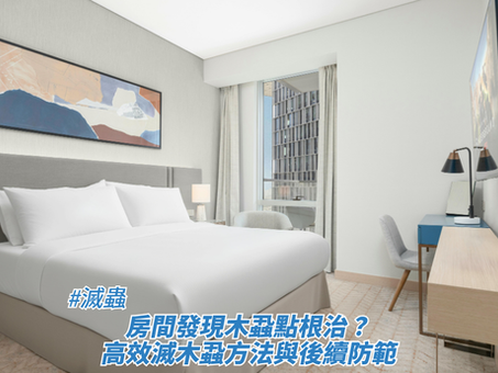 一間佈置簡約明亮的現代酒店風格臥室,配有大床、床頭燈、書桌與牆上畫作,畫面下方疊加了標題,藉此探討滅蟲、房間發現木蝨點根治?高效滅木蝨方法與後續防範。