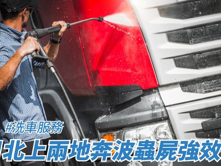 假日北上兩地奔波蟲屍強效清洗