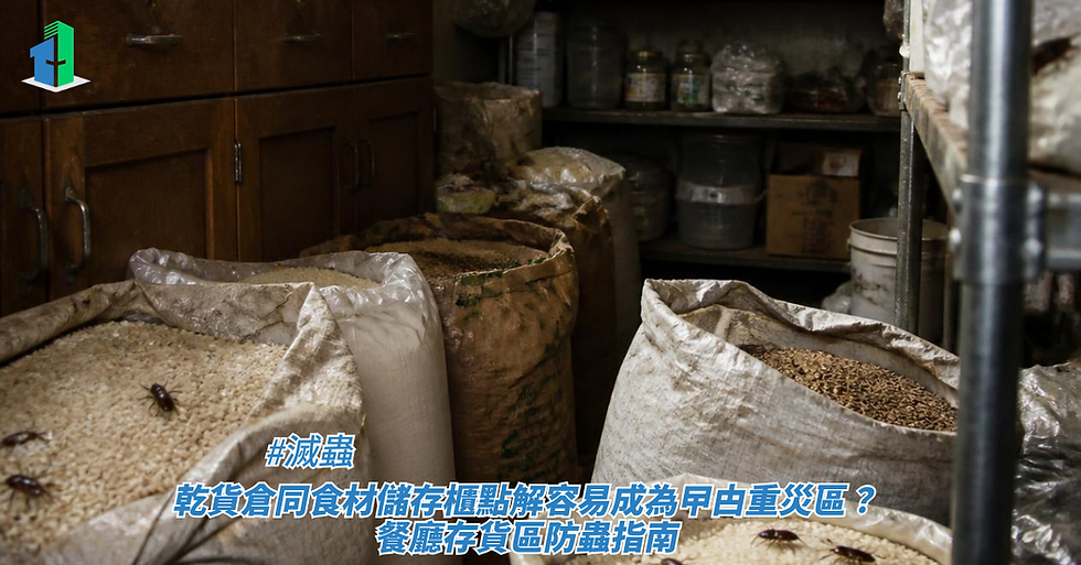 雜貨儲藏室內放著多袋裝滿穀物與乾貨的大布袋，袋子周遭與米堆上有幾隻昆蟲爬行，藉此探討滅蟲、乾貨倉同食材儲存櫃點解容易成為曱甴重災區？餐廳存貨區防蟲指南。