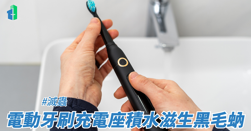 電動牙刷充電座積水滋生黑毛蚋