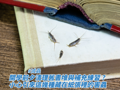 三隻銀魚（蠹魚）爬行在翻開的舊書本紙張上，藉此探討滅蟲、開學前夕清理舊書堆與補充練習及小心引來這幾種藏在紙張裡的害蟲。