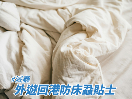 外遊回港防床蝨貼士