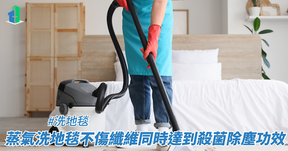 蒸氣洗地毯不傷纖維同時達到殺菌除塵功效
