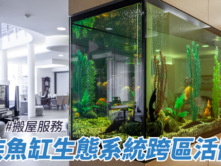水族魚缸生態系統跨區活體遷