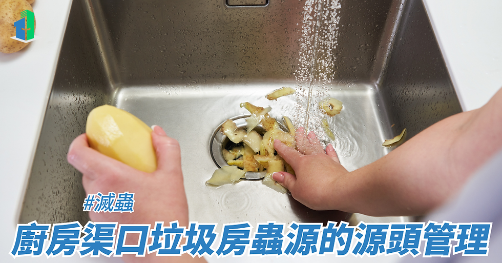 廚房渠口垃圾房蟲源的源頭管理
