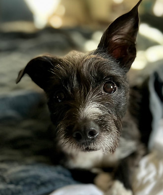Jack