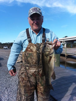 650C15A4-40C7-4CDB-8B37-9D9A7C04DFAA