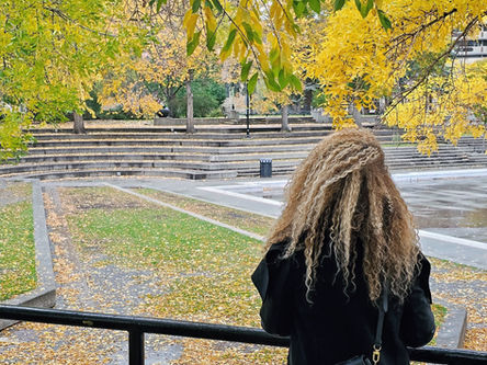 Your Ultimate Guide to the Best Spots for Fall Colours in Calgary