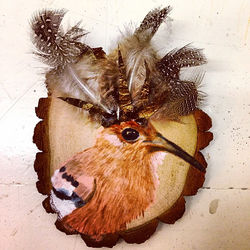 Instagram - Little bird.jpg