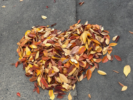 大人のやり直し英語 ― TOEICでキャリアアップ