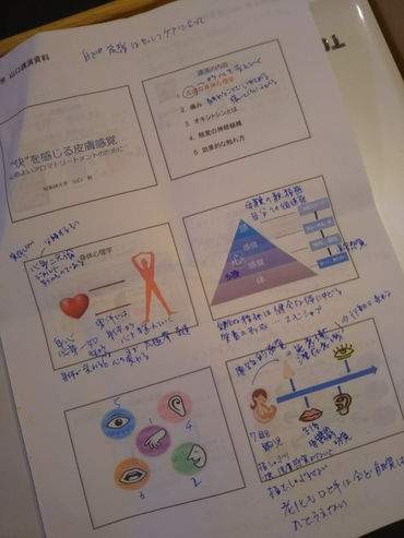 スキンシップとオキシトシン