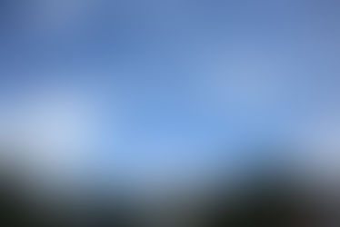 2019年のその２…自然の恵みに触れてきました