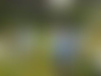 そして…放たれたセラピストたち