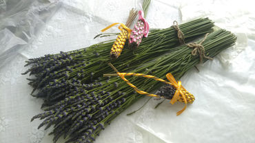 はじめてつくったバンドルズ