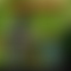 Aprovecha el 10% de descuento y prepárate para el Examen de Admisión a Escuelas Militares y Policial