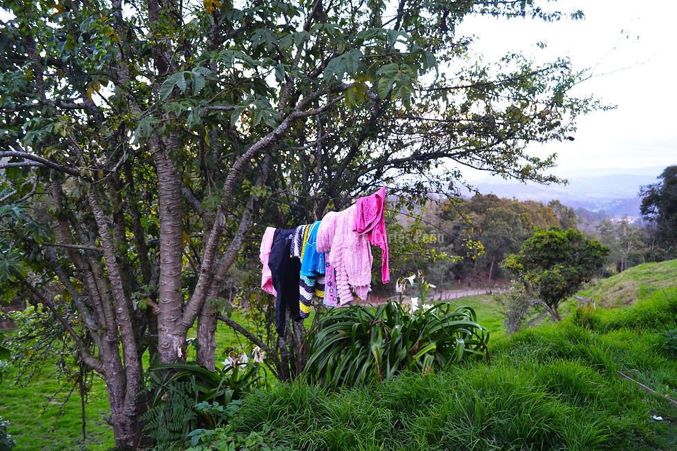 Vida en el campo