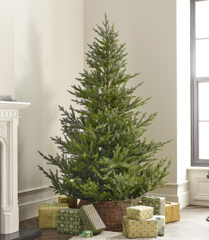 Thumbnail: 6-7 Foot (180-210cm) Tree