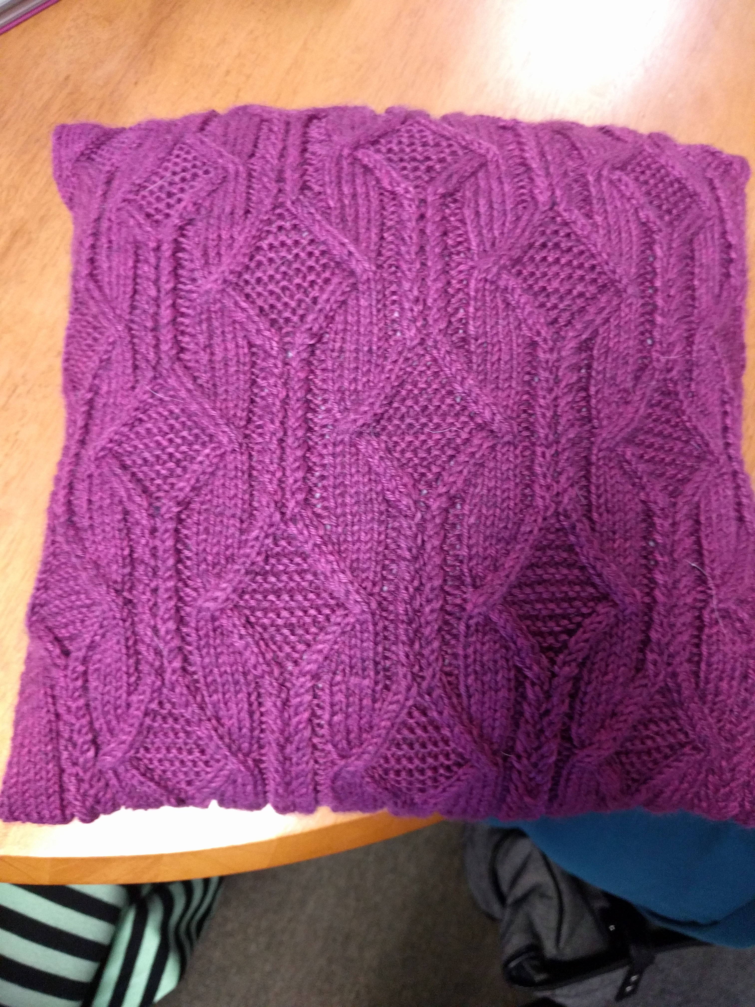 Lynn's Pillow