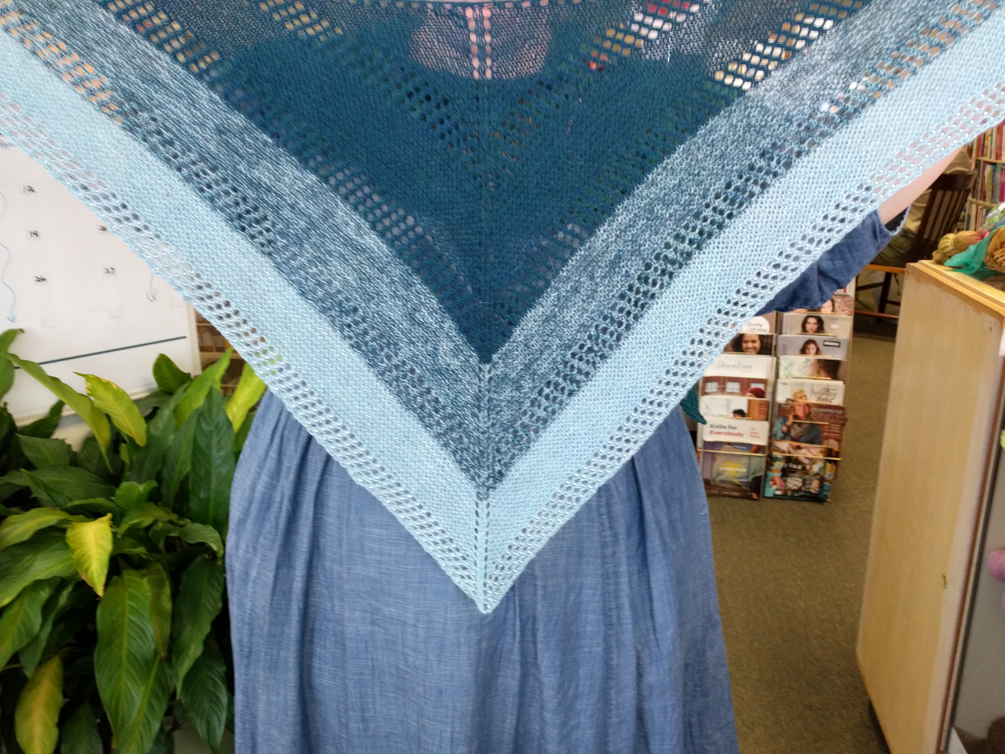 Lyn's Blue Alpaca lace Shawl